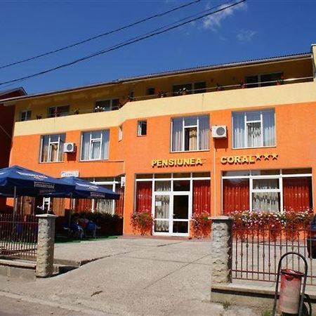 Pension Coral Baia Mare Exterior photo