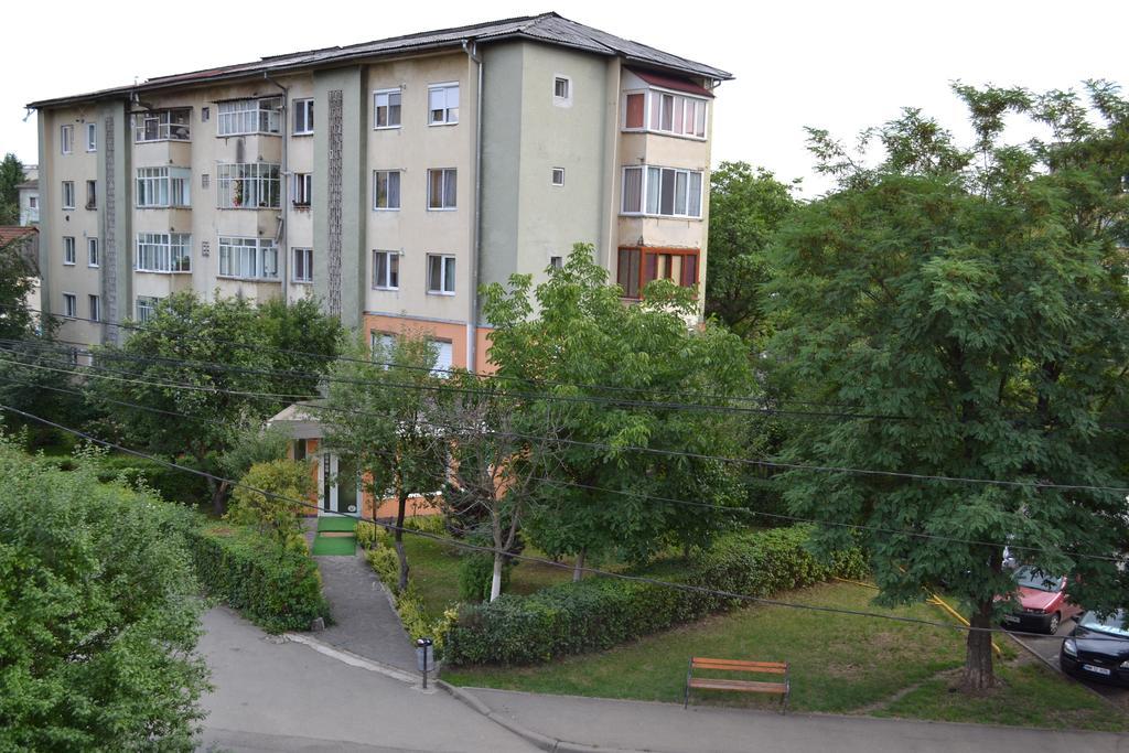Pension Coral Baia Mare Exterior photo
